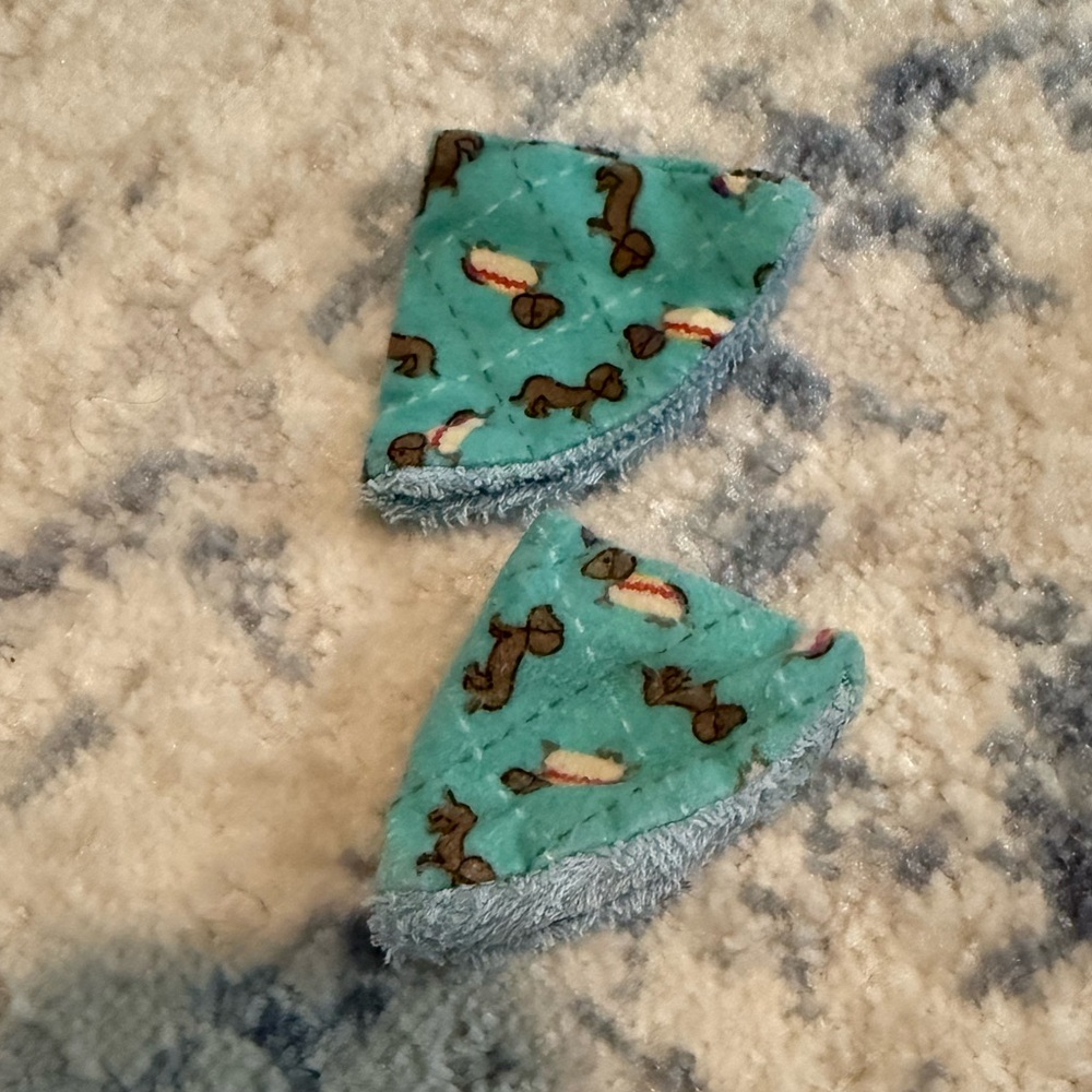 Pee pee teepee set of 2 hotdog   Dachshund